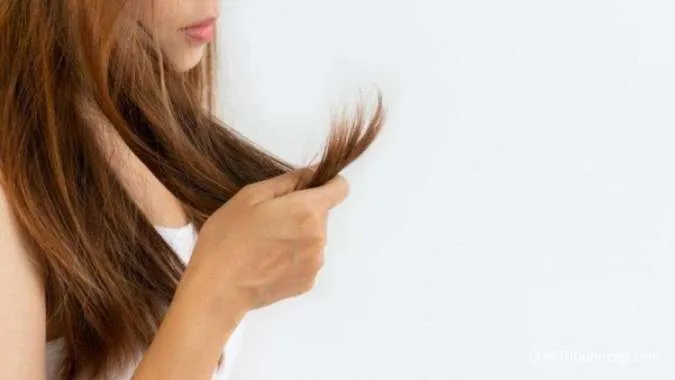 rambut bercabang